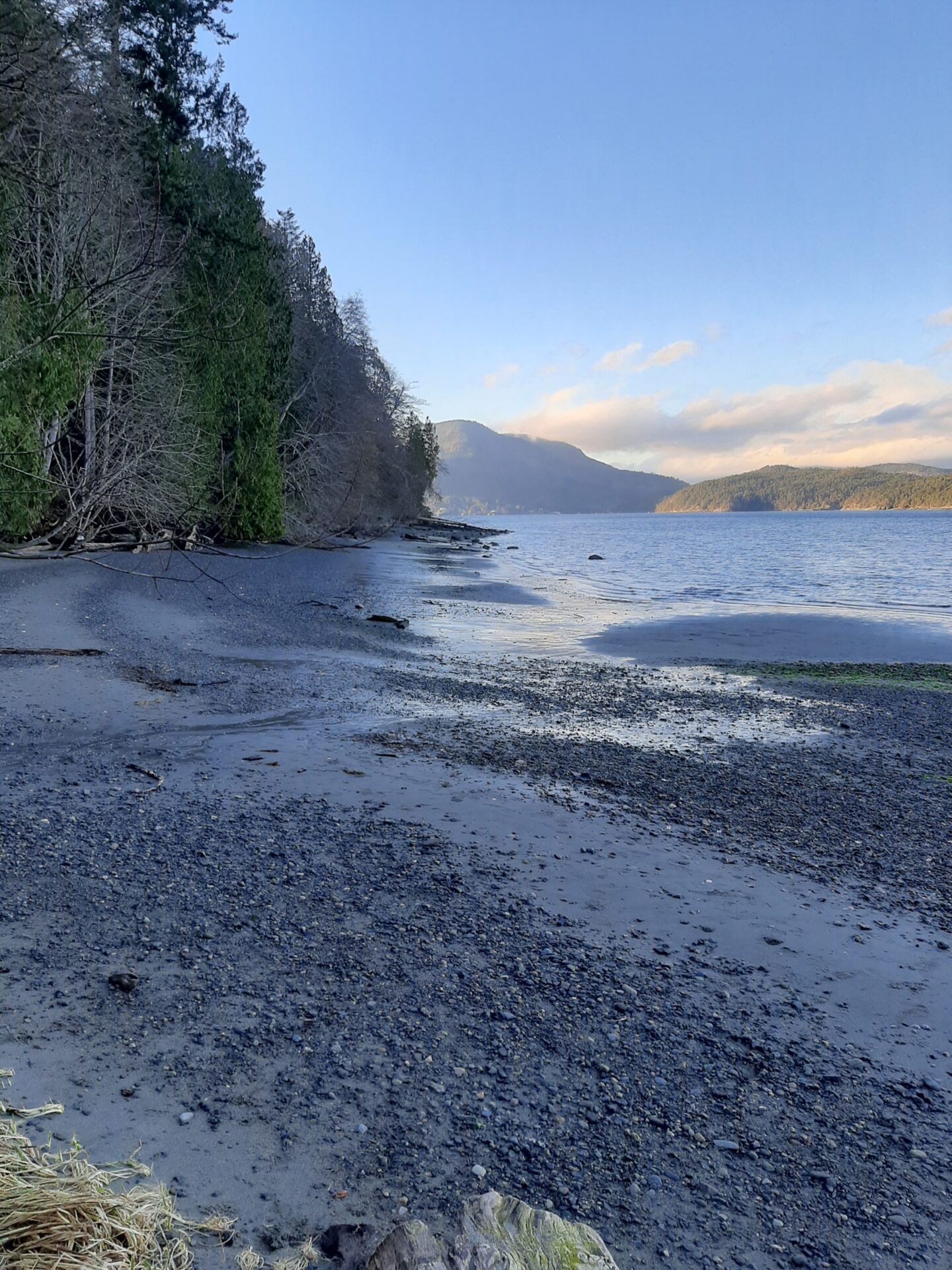 All About Victoria Prime Top Property Management Companies in Victoria BC