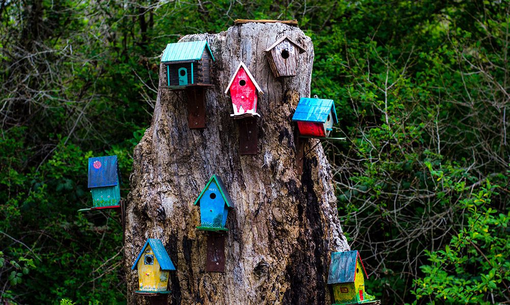 North Saanich, British Columbia